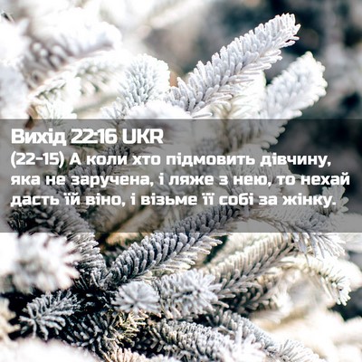 Picture 02 - Вихід 22:16 UKR - (22-15) А коли хто підмовить - Bible Verse Picture