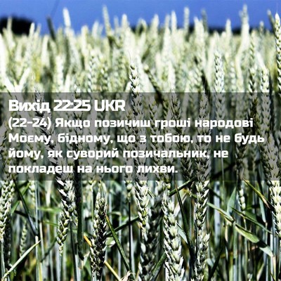 Picture 02 - Вихід 22:25 UKR - (22-24) Якщо позичиш гроші - Bible Verse Picture