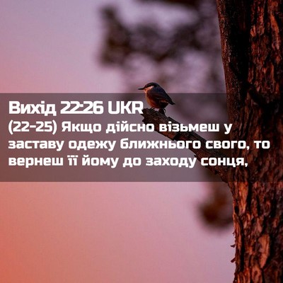 Picture 02 - Вихід 22:26 UKR - (22-25) Якщо дійсно візьмеш у - Bible Verse Picture