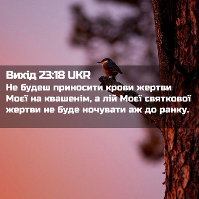 Picture 02 - Вихід 23:18 UKR - Не будеш приносити крови - Bible Verse Picture