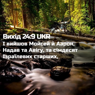 Picture 02 - Вихід 24:9 UKR - І вийшов Мойсей й Аарон, - Bible Verse Picture