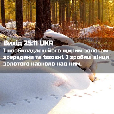 Picture 02 - Вихід 25:11 UKR - І пообкладаєш його щирим - Bible Verse Picture