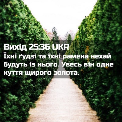 Picture 02 - Вихід 25:36 UKR - Їхні ґудзі та їхні рамена - Bible Verse Picture