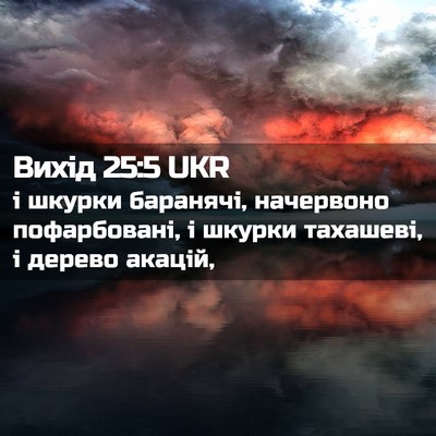 Picture 02 - Вихід 25:5 UKR - і шкурки баранячі, - Bible Verse Picture