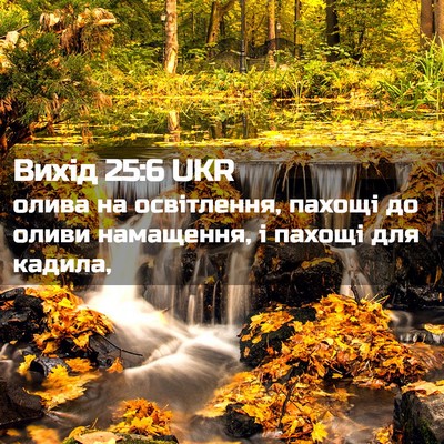 Picture 02 - Вихід 25:6 UKR - олива на освітлення, - Bible Verse Picture
