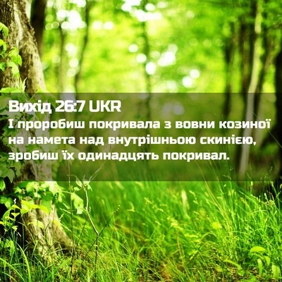 Picture 02 - Вихід 26:7 UKR - І проробиш покривала з - Bible Verse Picture