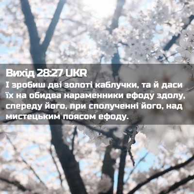 Picture 02 - Вихід 28:27 UKR - І зробиш дві золоті - Bible Verse Picture