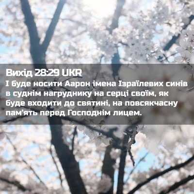 Picture 02 - Вихід 28:29 UKR - І буде носити Аарон імена - Bible Verse Picture