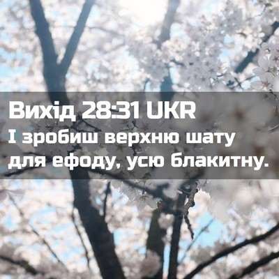 Picture 02 - Вихід 28:31 UKR - І зробиш верхню шату для - Bible Verse Picture