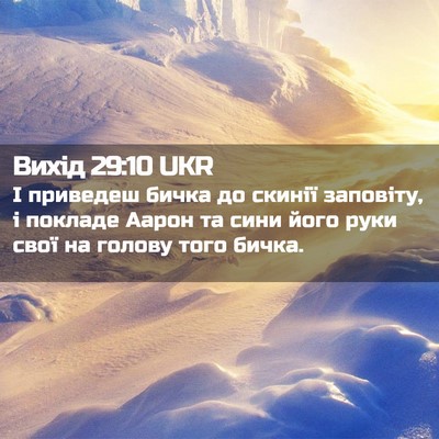 Picture 02 - Вихід 29:10 UKR - І приведеш бичка до скинії - Bible Verse Picture