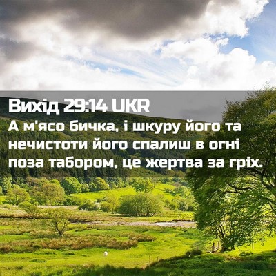 Picture 02 - Вихід 29:14 UKR - А м'ясо бичка, і шкуру його - Bible Verse Picture