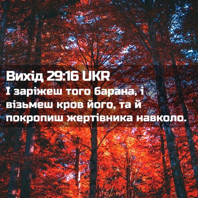Picture 02 - Вихід 29:16 UKR - І заріжеш того барана, і - Bible Verse Picture