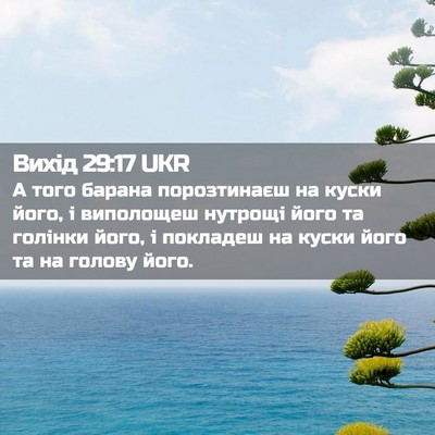 Picture 02 - Вихід 29:17 UKR - А того барана порозтинаєш - Bible Verse Picture