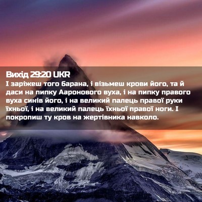 Picture 02 - Вихід 29:20 UKR - І заріжеш того барана, і - Bible Verse Picture