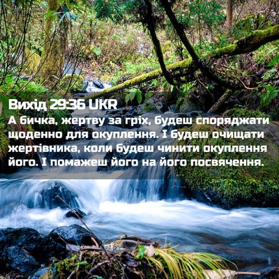 Picture 02 - Вихід 29:36 UKR - А бичка, жертву за гріх, - Bible Verse Picture