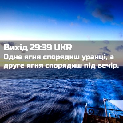 Picture 02 - Вихід 29:39 UKR - Одне ягня спорядиш уранці, - Bible Verse Picture