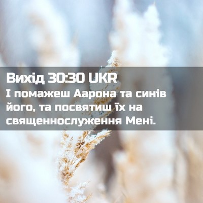 Picture 02 - Вихід 30:30 UKR - І помажеш Аарона та синів - Bible Verse Picture