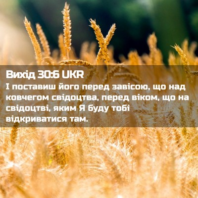 Picture 02 - Вихід 30:6 UKR - І поставиш його перед - Bible Verse Picture