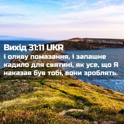 Picture 02 - Вихід 31:11 UKR - і оливу помазання, і - Bible Verse Picture