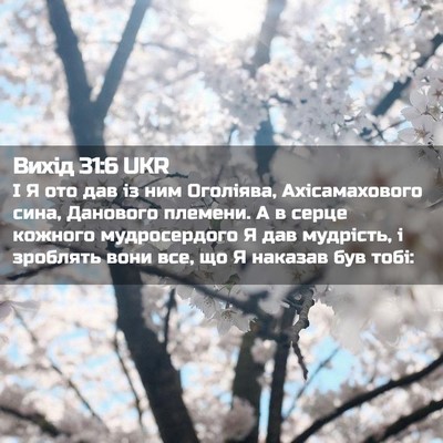 Picture 02 - Вихід 31:6 UKR - І Я ото дав із ним Оголіява, - Bible Verse Picture