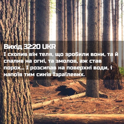 Picture 02 - Вихід 32:20 UKR - І схопив він теля, що - Bible Verse Picture