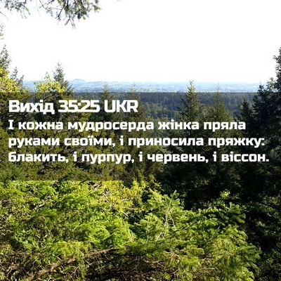Picture 02 - Вихід 35:25 UKR - І кожна мудросерда жінка - Bible Verse Picture