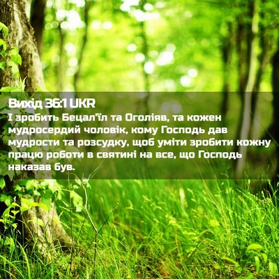 Picture 02 - Вихід 36:1 UKR - І зробить Бецал'їл та - Bible Verse Picture