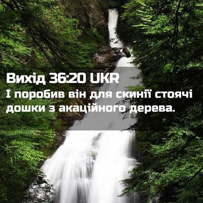 Picture 02 - Вихід 36:20 UKR - І поробив він для скинії - Bible Verse Picture