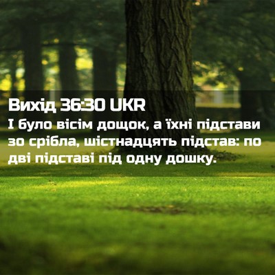 Picture 02 - Вихід 36:30 UKR - І було вісім дощок, а їхні - Bible Verse Picture