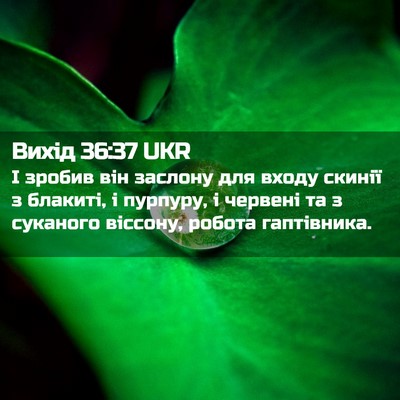 Picture 02 - Вихід 36:37 UKR - І зробив він заслону для - Bible Verse Picture