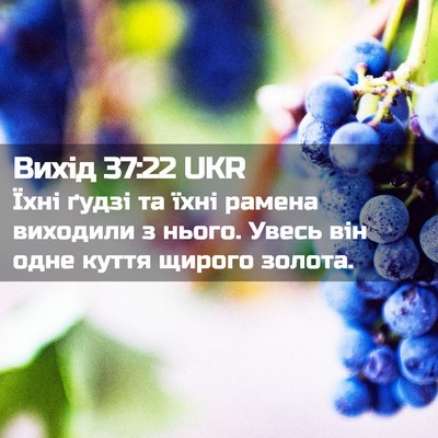 Picture 02 - Вихід 37:22 UKR - Їхні ґудзі та їхні рамена - Bible Verse Picture