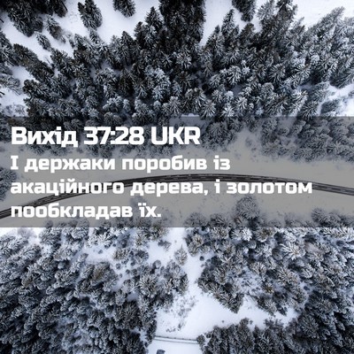 Picture 02 - Вихід 37:28 UKR - І держаки поробив із - Bible Verse Picture