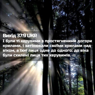 Picture 02 - Вихід 37:9 UKR - І були ті херувими з - Bible Verse Picture
