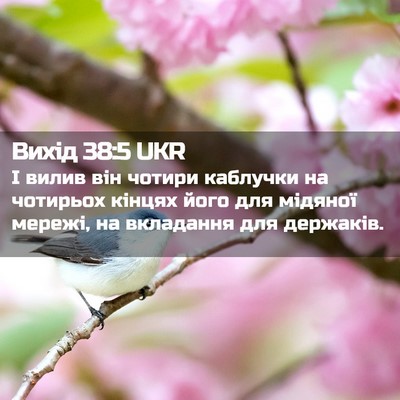 Picture 02 - Вихід 38:5 UKR - І вилив він чотири - Bible Verse Picture