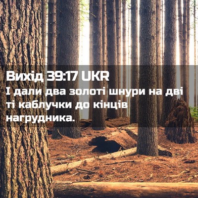 Picture 02 - Вихід 39:17 UKR - І дали два золоті шнури на - Bible Verse Picture