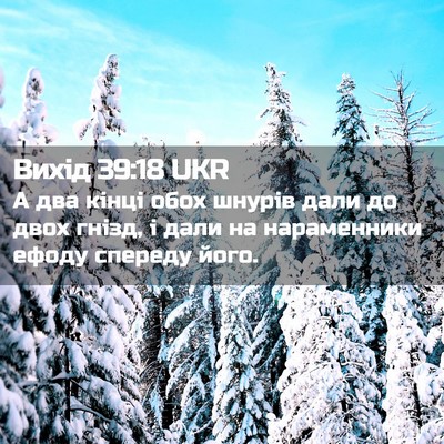 Picture 02 - Вихід 39:18 UKR - А два кінці обох шнурів - Bible Verse Picture