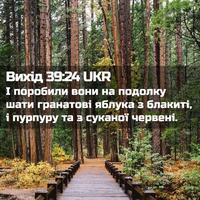 Picture 02 - Вихід 39:24 UKR - І поробили вони на подолку - Bible Verse Picture