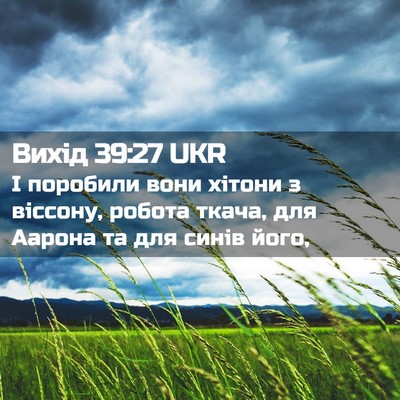 Picture 02 - Вихід 39:27 UKR - І поробили вони хітони з - Bible Verse Picture