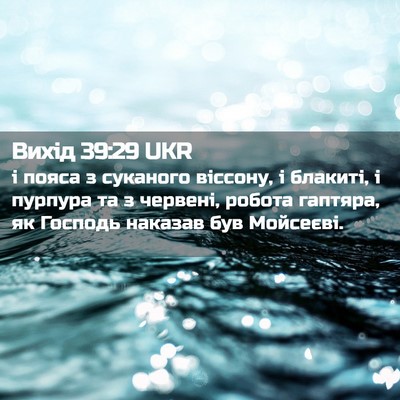 Picture 02 - Вихід 39:29 UKR - і пояса з суканого віссону, - Bible Verse Picture
