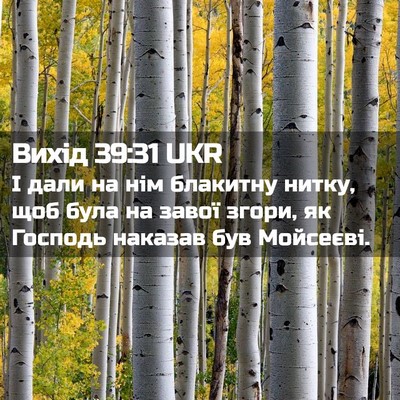 Picture 02 - Вихід 39:31 UKR - І дали на нім блакитну - Bible Verse Picture