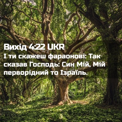 Picture 02 - Вихід 4:22 UKR - І ти скажеш фараонові: Так - Bible Verse Picture