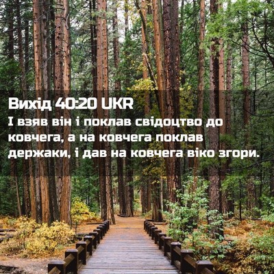 Picture 02 - Вихід 40:20 UKR - І взяв він і поклав - Bible Verse Picture