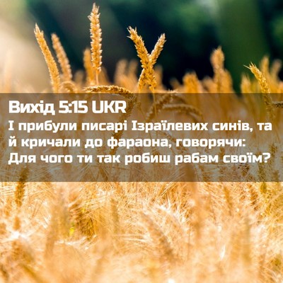 Picture 02 - Вихід 5:15 UKR - І прибули писарі - Bible Verse Picture