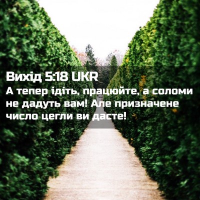 Picture 02 - Вихід 5:18 UKR - А тепер ідіть, працюйте, а - Bible Verse Picture