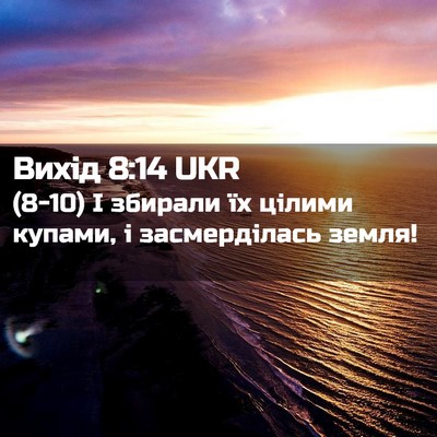 Picture 02 - Вихід 8:14 UKR - (8-10) І збирали їх цілими - Bible Verse Picture