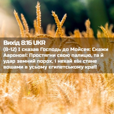 Picture 02 - Вихід 8:16 UKR - (8-12) І сказав Господь до - Bible Verse Picture