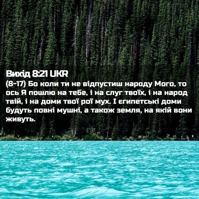 Picture 02 - Вихід 8:21 UKR - (8-17) Бо коли ти не відпустиш - Bible Verse Picture