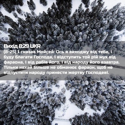 Picture 02 - Вихід 8:29 UKR - (8-25) І сказав Мойсей: Ось я - Bible Verse Picture