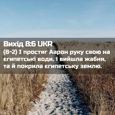 Picture 02 - Вихід 8:6 UKR - (8-2) І простяг Аарон руку - Bible Verse Picture