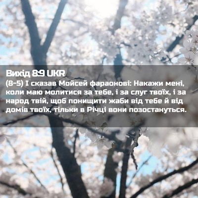 Picture 02 - Вихід 8:9 UKR - (8-5) І сказав Мойсей - Bible Verse Picture